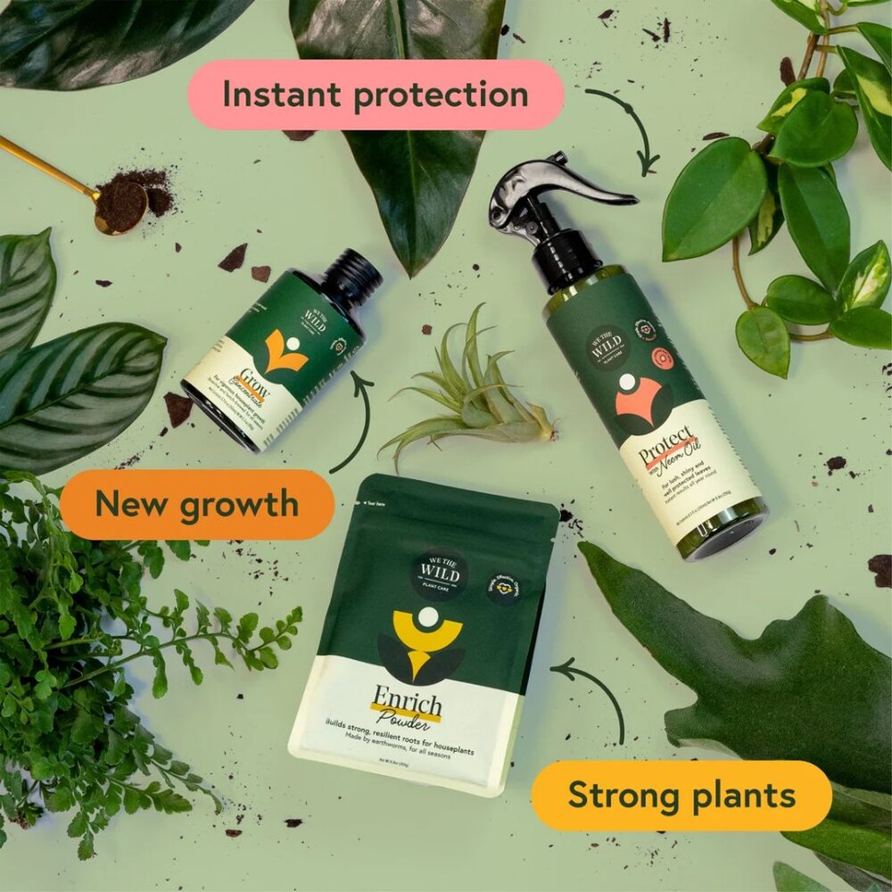 We The Wild Organic Plant Care Kit Indoor Houseplant Essentials NEW - Picture 2 of 5